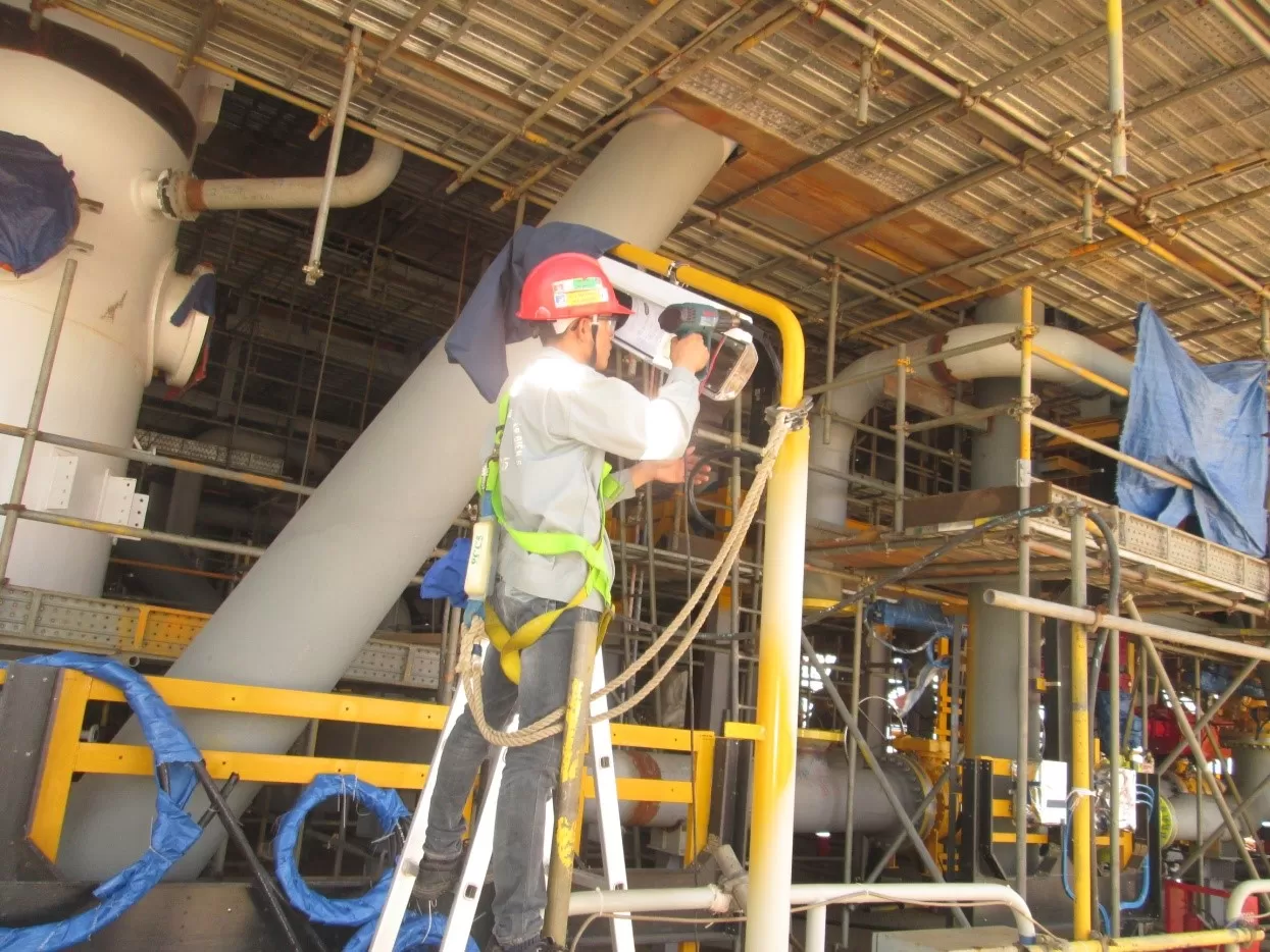 Sư Tử Trắng – Giai đoạn 1