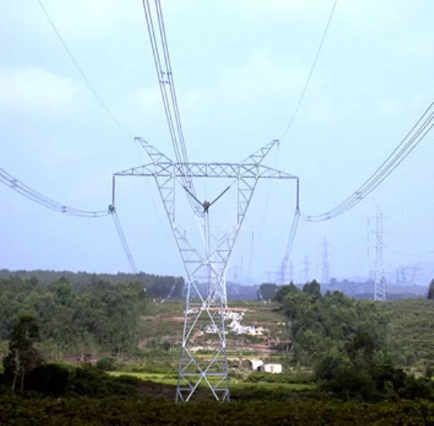 Xây dựng lắp đặt các công trình đường dây tải điện đến 500kV
